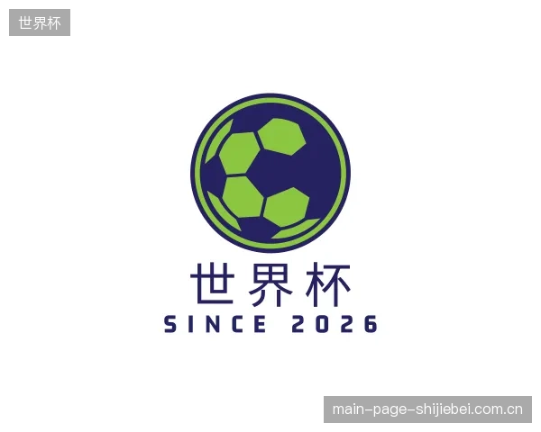 关于世界杯集团